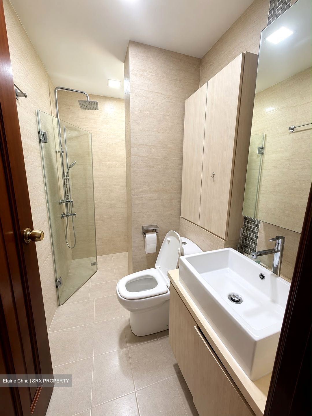 Spring Grove (D10), Condominium #624540411